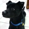 Jennifer huang's profile picture