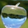 🍎口レりんごっぽい人。®️®️®️ 的头像