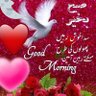 Hameedi's profile picture