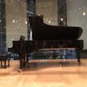 PIANO LOVERS's profile picture