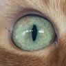 JB profil fotoğrafı