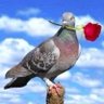 أسماء العنقري's profile picture