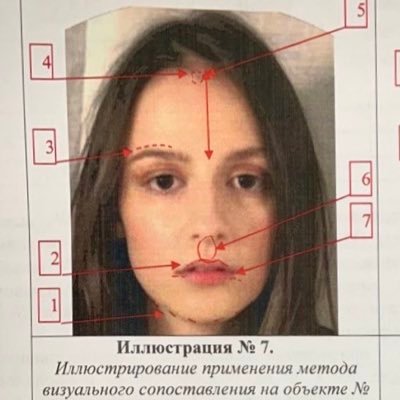 lcshtn's profile picture