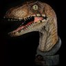 Raptor Dev's profile picture