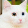 marie_milky profil fotoğrafı