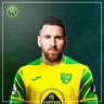 Simo Canary's profile picture