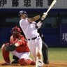 つば九郎's profile picture