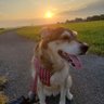 Profilbild von Brenda