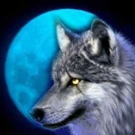 woersitext's profile picture