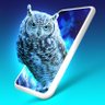 ただの天パ profil fotoğrafı