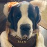 Robert E's profile picture