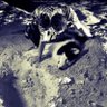 abdul.Rahim | عبدالرحيم's profile picture