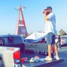 🤙's profile picture