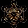 TempoMx's profile picture