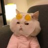 ะปะธัะธัั ๐บ๐ฆ's profile picture