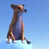 DogOfWisdom's profile picture