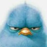 Xcel's profile picture