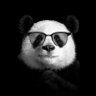 NFT PANDA profil fotoğrafı