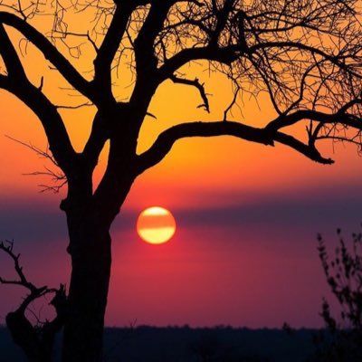 George’s Images's profile picture