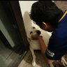 Edgar Simental's profile picture