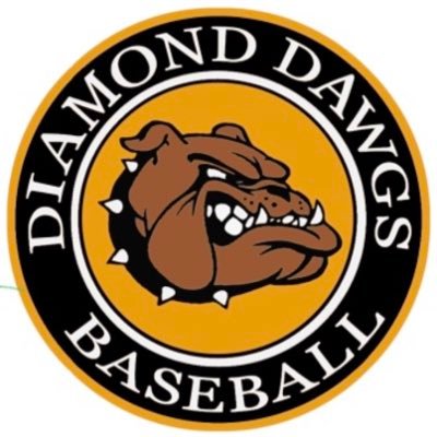 PITTSBURGH DIAMOND DAWGS BASEBALL's profile picture