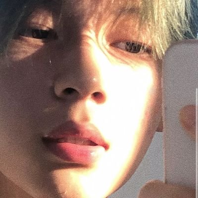 wanlidon's profile picture