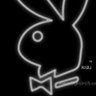 Profilbild von Night Hunter