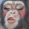 Profilbild von a.k.aイケ 陸