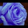 سلووومي 的头像
