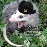socialism with midwestern characteristics profil fotoğrafı