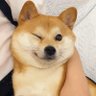 王富贵 profil fotoğrafı