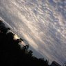 アリエル 的头像