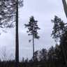 Фото профиля PhilW
