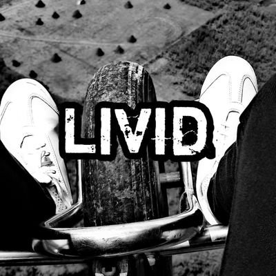1_Livid's profile picture