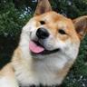 Profilbild von drafan5