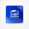 CodezAuto.Ng 的头像