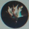seeya205's profile picture