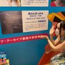 Фото профиля あやなそ