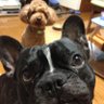 Hiroshi's profile picture