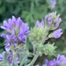 Фото профиля أم يوسف