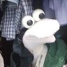 Fer's profile picture