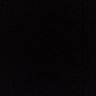 Ndoro Wijaya's profile picture