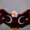 Fullçaylak 的头像
