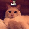 sahelleila's profile picture