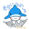 そらいるか🐰🌙🐾🍓🌙🧙‍♀️'s profile picture