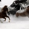 Фото профиля ally axl