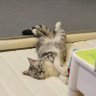 sunwu profil fotoğrafı