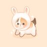 Profilbild von sam (certified shushu)