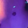 Profilbild von BubbaBlue