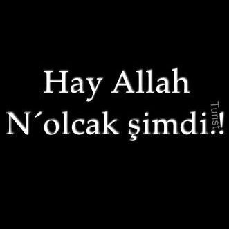hayallah's profile picture